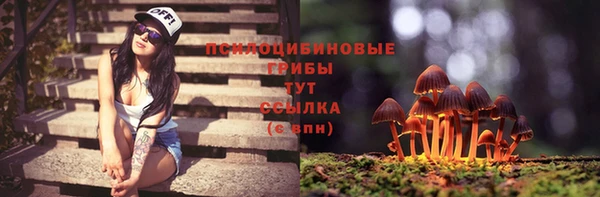 круглые Алексеевка