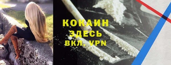 твердый Алзамай