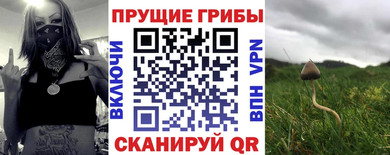 ОМГ ОМГ ONION  Алексеевка  Псилоцибиновые грибы Psilocybe 