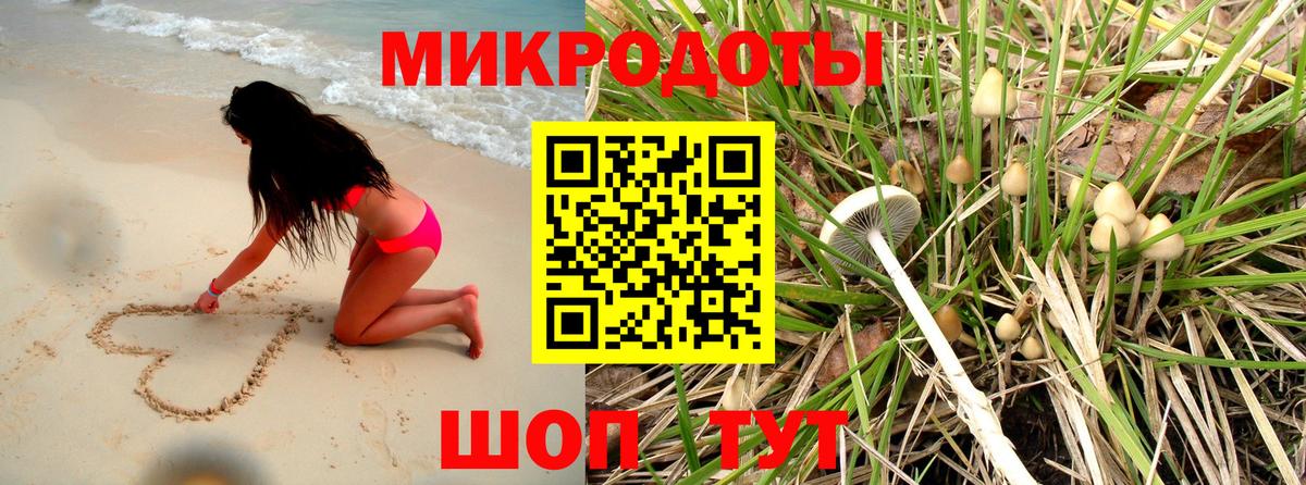 как найти закладки  Галлюциногенные грибы Psilocybe  Вход с VPN  Алексеевка 